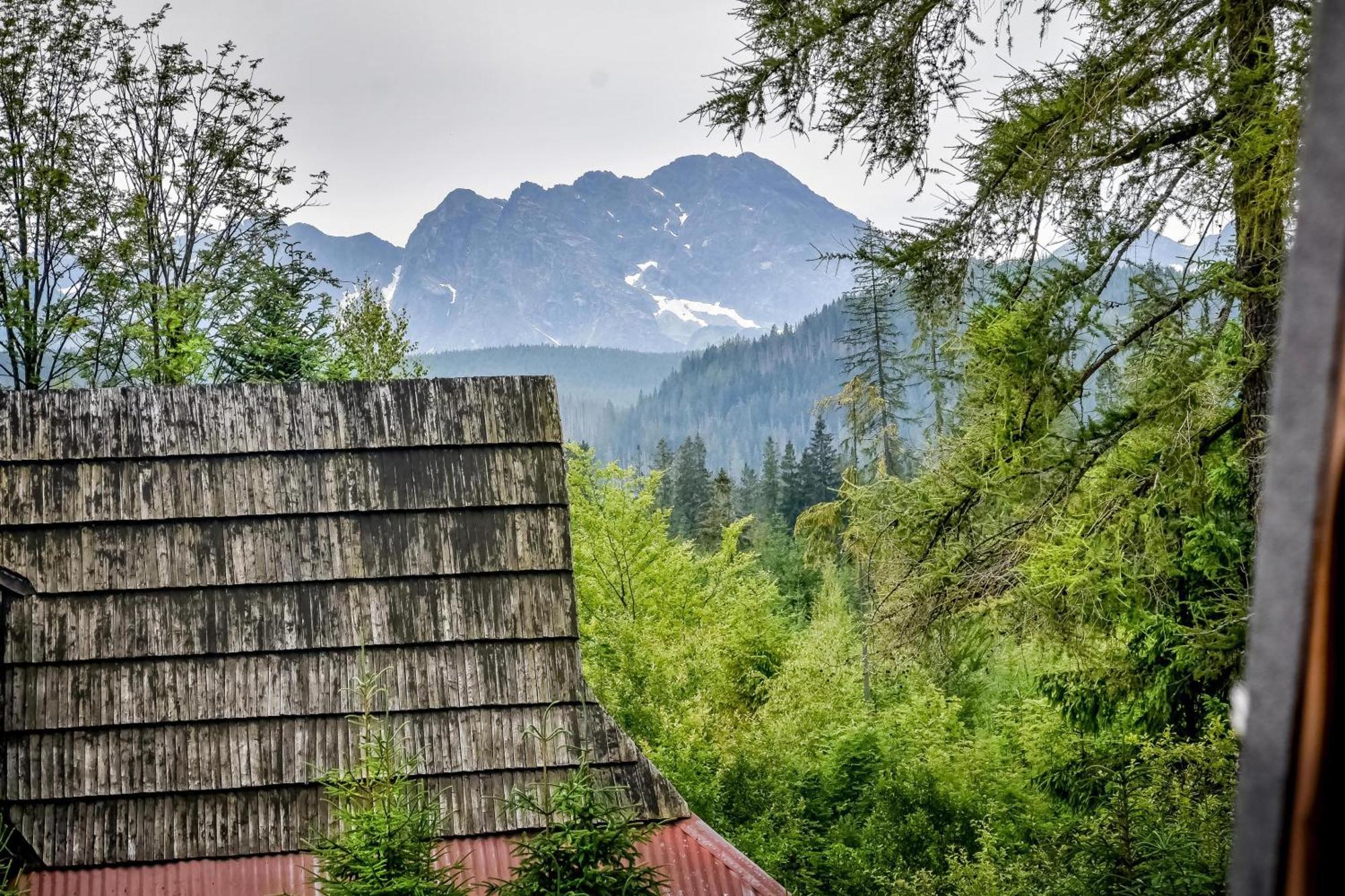 Za Gorami Za Lasami Zakopane Eksteriør billede