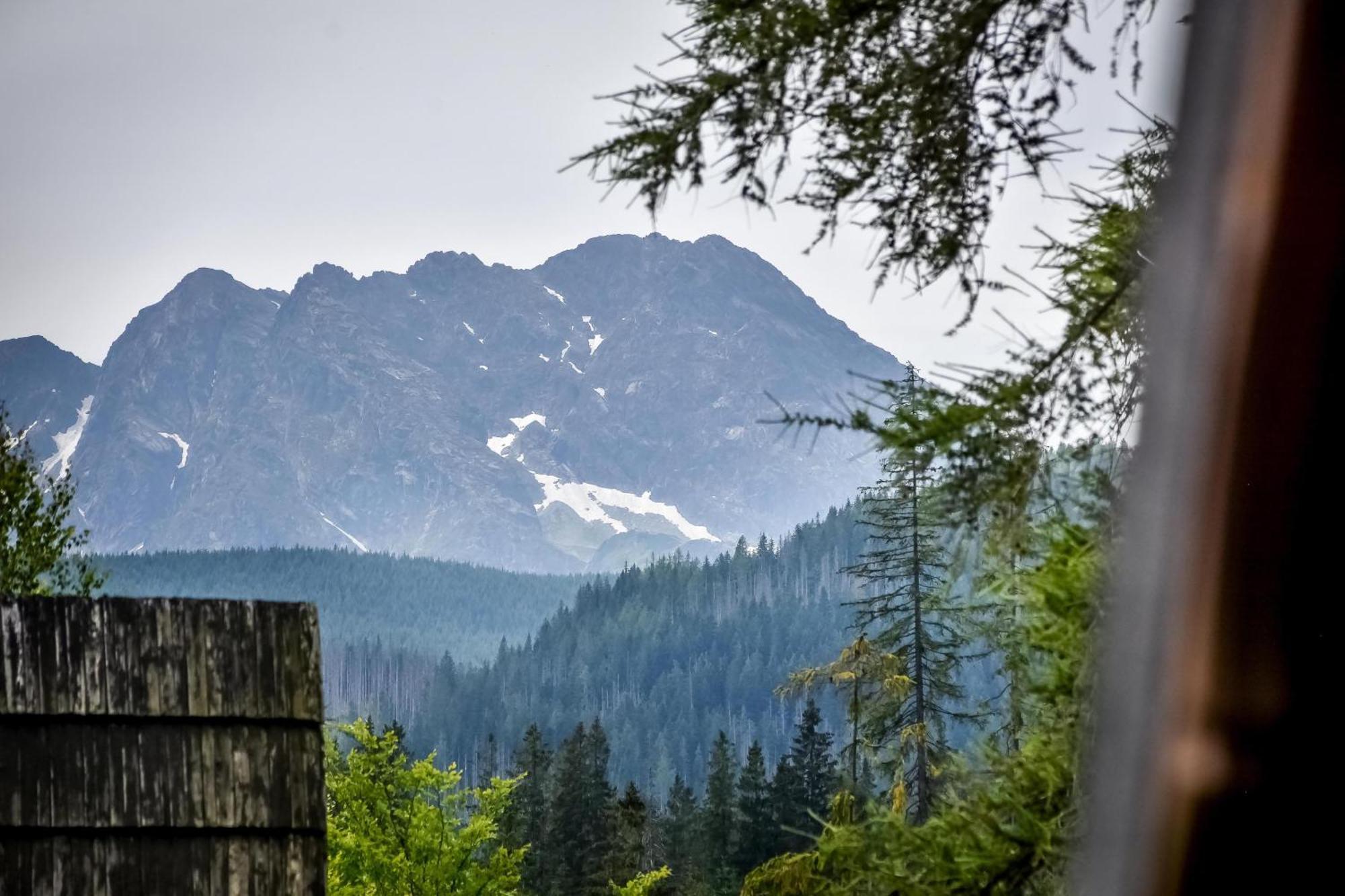 Za Gorami Za Lasami Zakopane Eksteriør billede